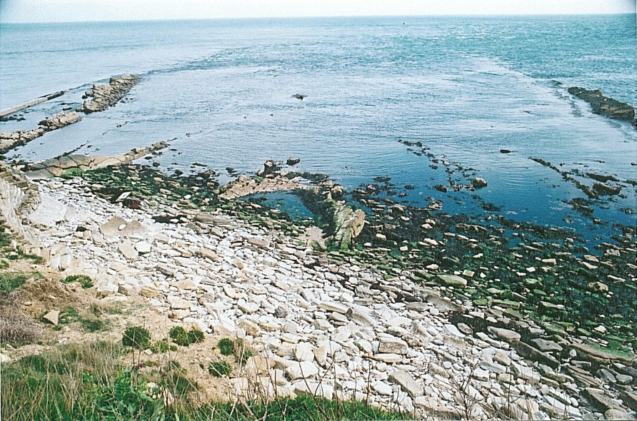 View from the clifftop of the reefs at Peveril Point